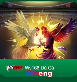 88xeng